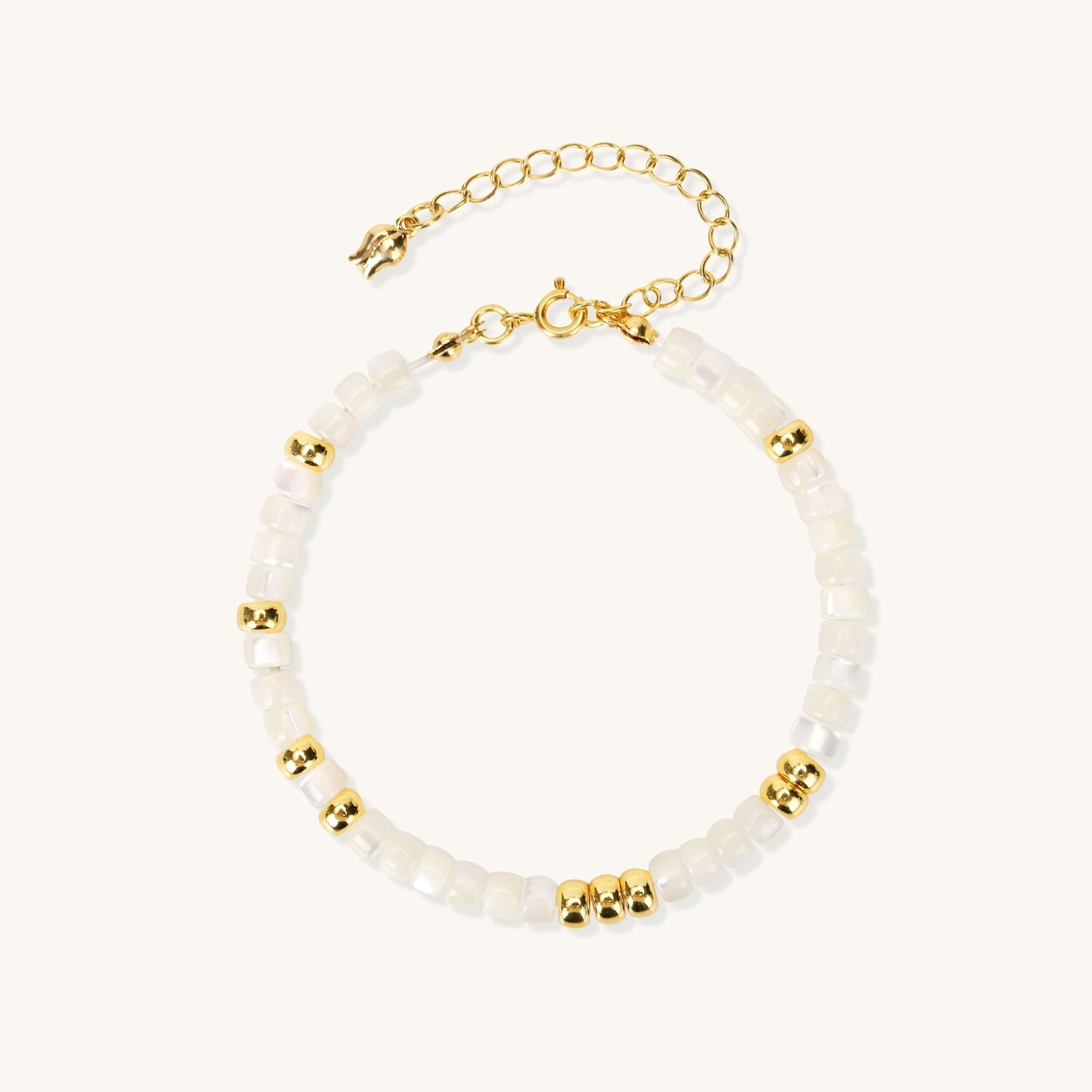 Trochus Rhythm Harmony – Evoke Natural Trochus Chain Bracelet - Muditalume.online store