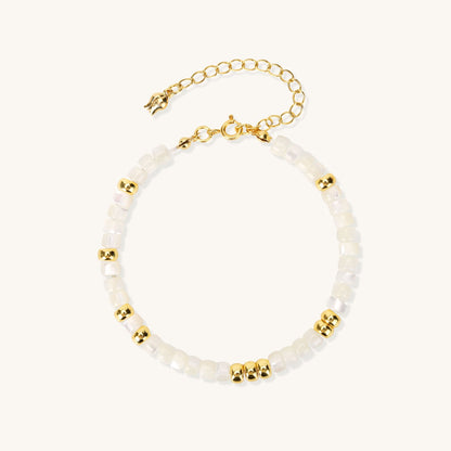 Trochus Rhythm Harmony – Evoke Natural Trochus Chain Bracelet - Muditalume.online store